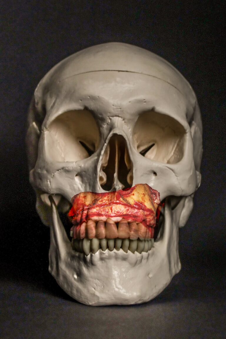 4F9FECD7-6049-4221-AF85-336CA9220C00